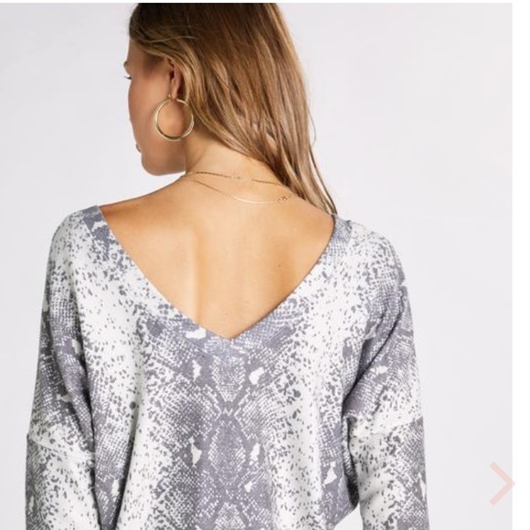 Wildfox long sleeve. So soft - Picture 2 of 4